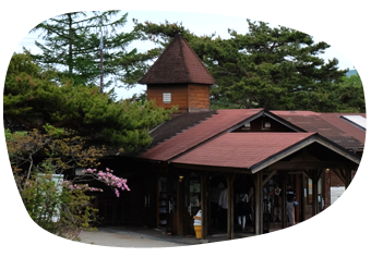 ジャージーハット