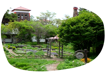 清泉寮ハーブガーデン